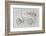 Octopus-Dimitar Lazarov --Framed Photographic Print