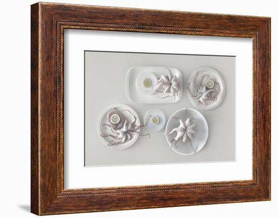 Octopus-Dimitar Lazarov --Framed Photographic Print