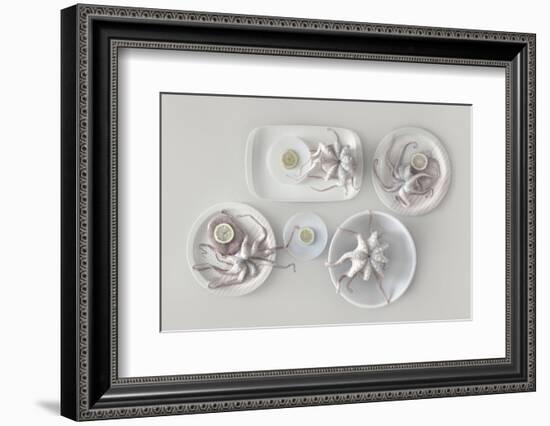 Octopus-Dimitar Lazarov --Framed Photographic Print