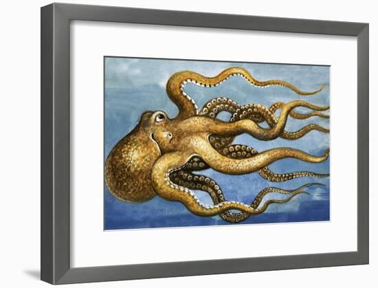 Octopus-null-Framed Giclee Print