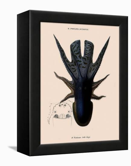 Octopus-Emile Theophile-Framed Premier Image Canvas