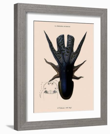 Octopus-Emile Theophile-Framed Giclee Print