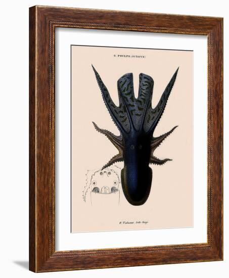 Octopus-Emile Theophile-Framed Giclee Print