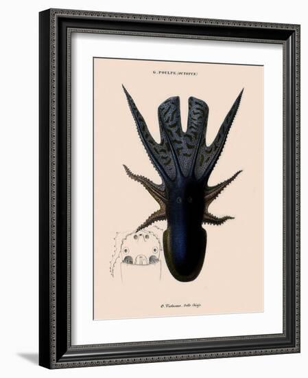 Octopus-Emile Theophile-Framed Giclee Print