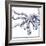 Octopus-The Saturday Evening Post-Framed Giclee Print