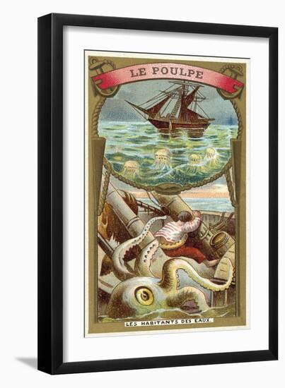 Octopus-null-Framed Giclee Print