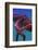 Octopus-nastya81-Framed Photographic Print