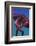 Octopus-nastya81-Framed Photographic Print