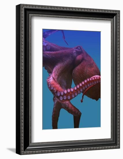 Octopus-nastya81-Framed Photographic Print