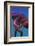 Octopus-nastya81-Framed Photographic Print