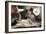 Odalisque, 1880S-Ferdinand Roybet-Framed Giclee Print