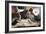 Odalisque, 1880S-Ferdinand Roybet-Framed Giclee Print