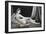 Odalisque in Grisaille-Jean-Auguste-Dominique Ingres-Framed Art Print