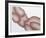 Odalisque-Roy Ahlgren-Framed Limited Edition