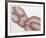 Odalisque-Roy Ahlgren-Framed Limited Edition