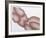 Odalisque-Roy Ahlgren-Framed Limited Edition