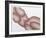 Odalisque-Roy Ahlgren-Framed Limited Edition