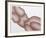 Odalisque-Roy Ahlgren-Framed Limited Edition