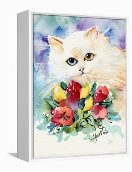 Odd Eye White Persian Cat-sylvia pimental-Framed Stretched Canvas