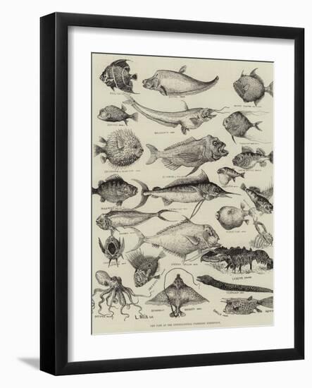 Odd Fish at the International Fisheries Exhibition-Louis Wain-Framed Giclee Print