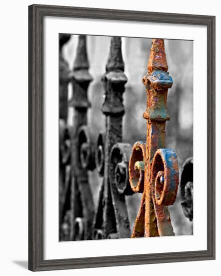 Odd One Out-Nathan Wright-Framed Photographic Print