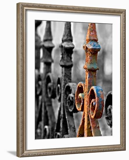 Odd One Out-Nathan Wright-Framed Photographic Print