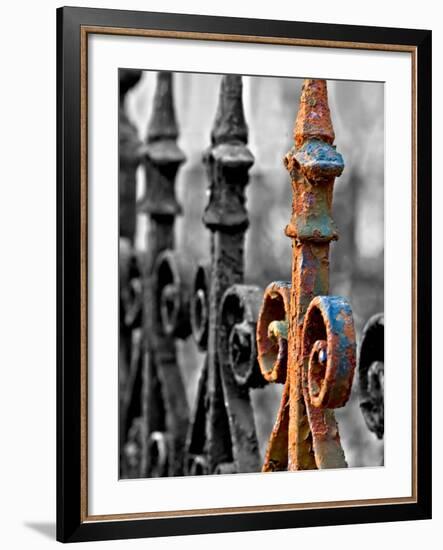 Odd One Out-Nathan Wright-Framed Photographic Print