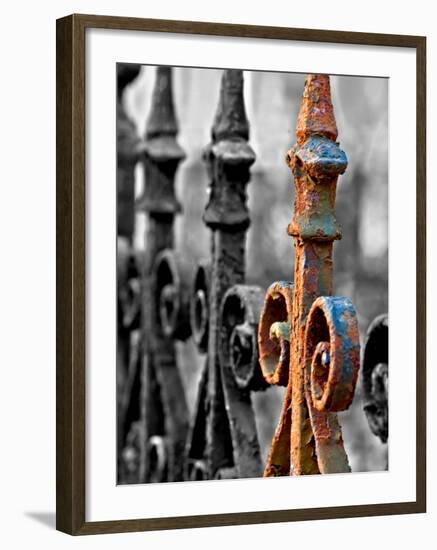 Odd One Out-Nathan Wright-Framed Photographic Print