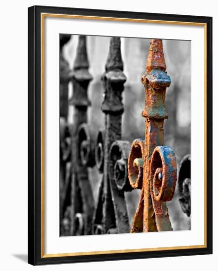 Odd One Out-Nathan Wright-Framed Photographic Print