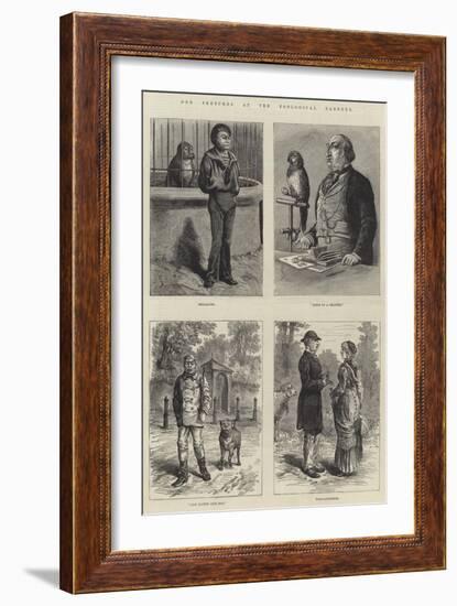 Odd Sketches at the Zoological Gardens-Johann Nepomuk Schonberg-Framed Giclee Print