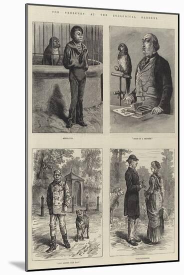 Odd Sketches at the Zoological Gardens-Johann Nepomuk Schonberg-Mounted Giclee Print