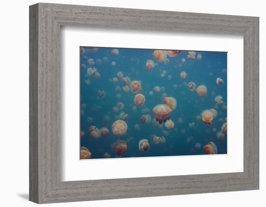 Oddworld-Piron Xavier-Framed Photographic Print