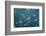 Oddworld-Piron Xavier-Framed Photographic Print