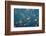 Oddworld-Piron Xavier-Framed Photographic Print