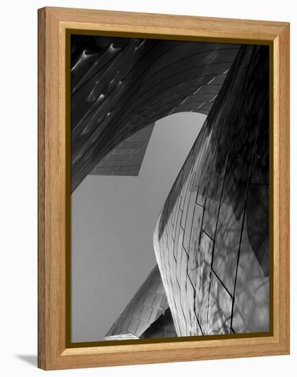 Ode to Gehry 7-DAG, Inc-Framed Stretched Canvas