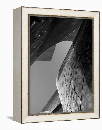 Ode to Gehry 7-DAG, Inc-Framed Stretched Canvas