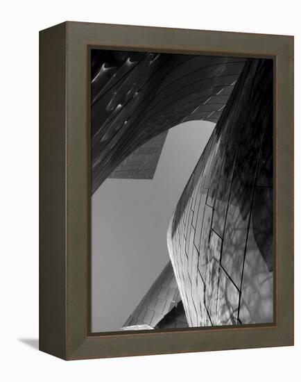 Ode to Gehry 7-DAG, Inc-Framed Stretched Canvas
