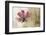 Ode to Innocence-David Winston-Framed Giclee Print