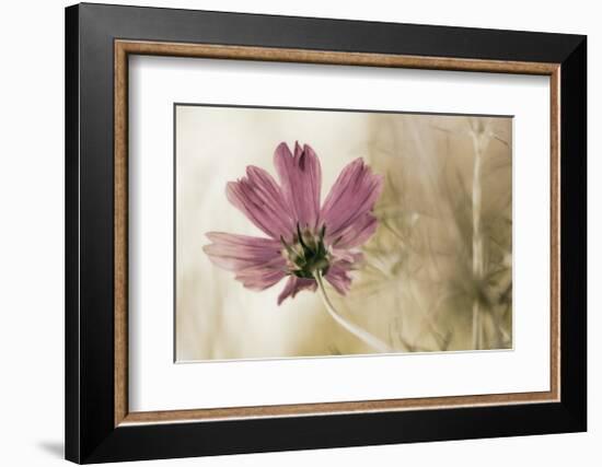 Ode to Innocence-David Winston-Framed Giclee Print