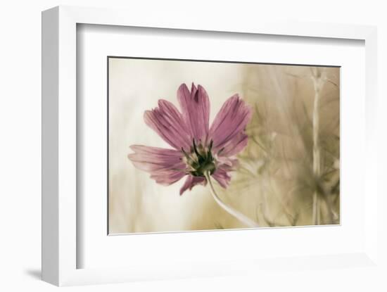 Ode to Innocence-David Winston-Framed Giclee Print