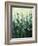 Ode to Monet 2-DAG, Inc-Framed Art Print