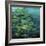 Ode to Monet I-Farrell Douglass-Framed Giclee Print