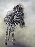 Equus burchelli 1, 2009-Odile Kidd-Giclee Print