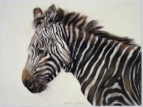 Zebra, 2002-Odile Kidd-Giclee Print