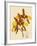 Odontoglossum Grande-John Nugent Fitch-Framed Giclee Print