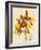 Odontoglossum Grande-John Nugent Fitch-Framed Giclee Print