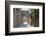 Odos Ippoton (Street of the Knights, Dodecanese Islands-Ruth Tomlinson-Framed Photographic Print