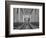 Oduomomio-Thomas Barbey-Framed Giclee Print