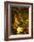 Odyssey in Gold-Doug Chinnery-Framed Photographic Print