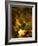 Odyssey in Gold-Doug Chinnery-Framed Photographic Print